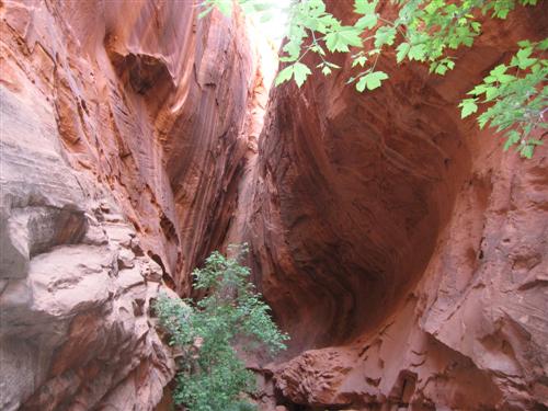 Canyon